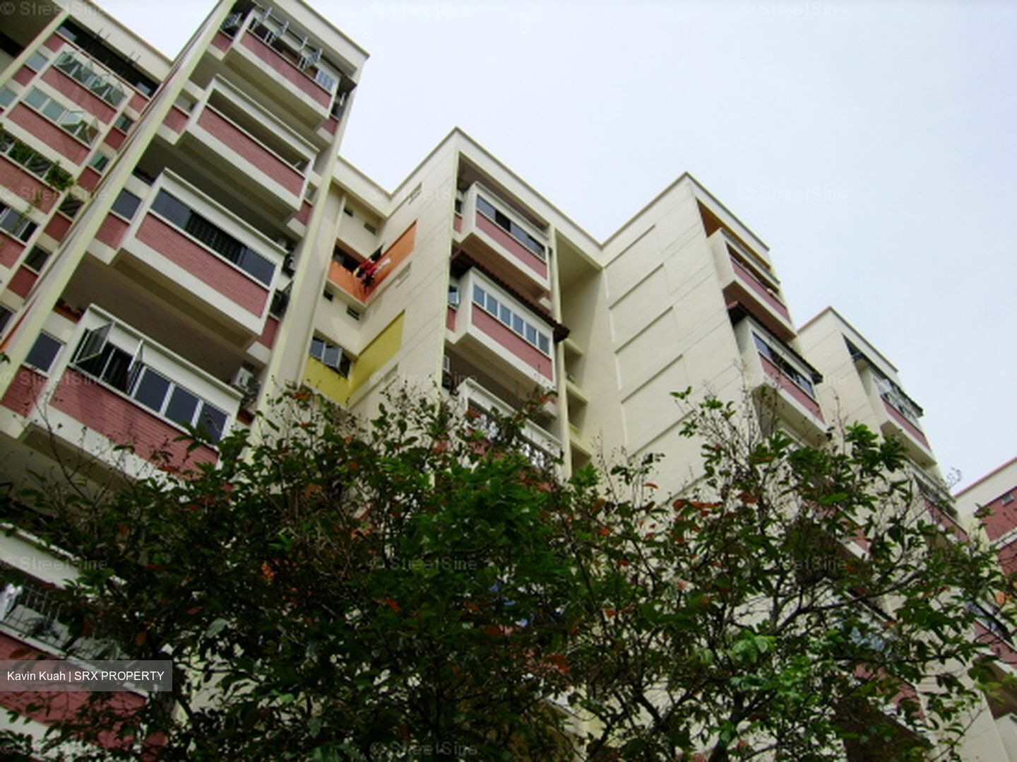 Blk 427 Sun Plaza View (Tampines), HDB Executive #599106141